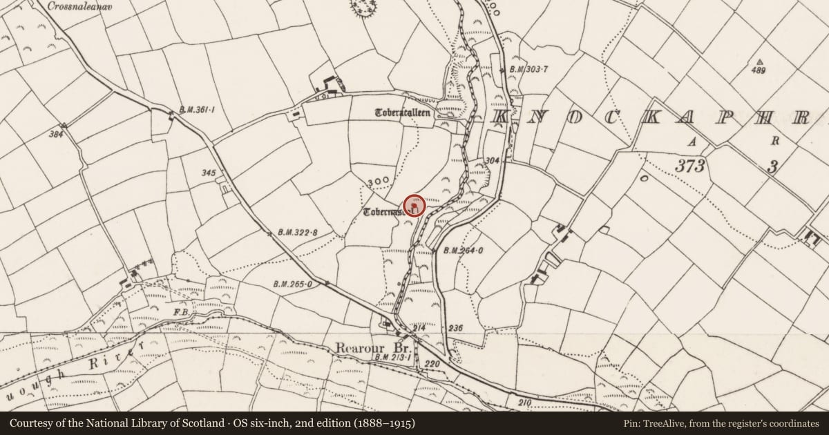 Ordnance Survey six-inch map, 2nd edition (1888–1915) covering the location of Ritual site - holy well, Rearour, County Cork, with a pin at the register's coordinates