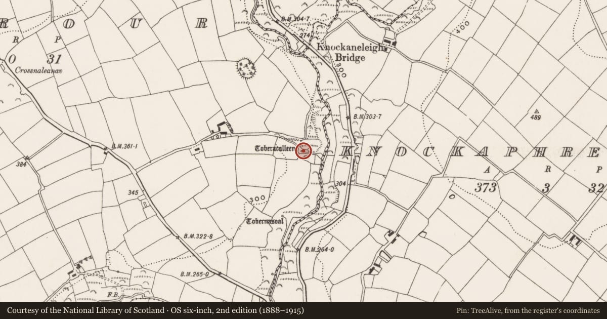 Ordnance Survey six-inch map, 2nd edition (1888–1915) covering the location of Ritual site - holy well, Rearour, County Cork, with a pin at the register's coordinates