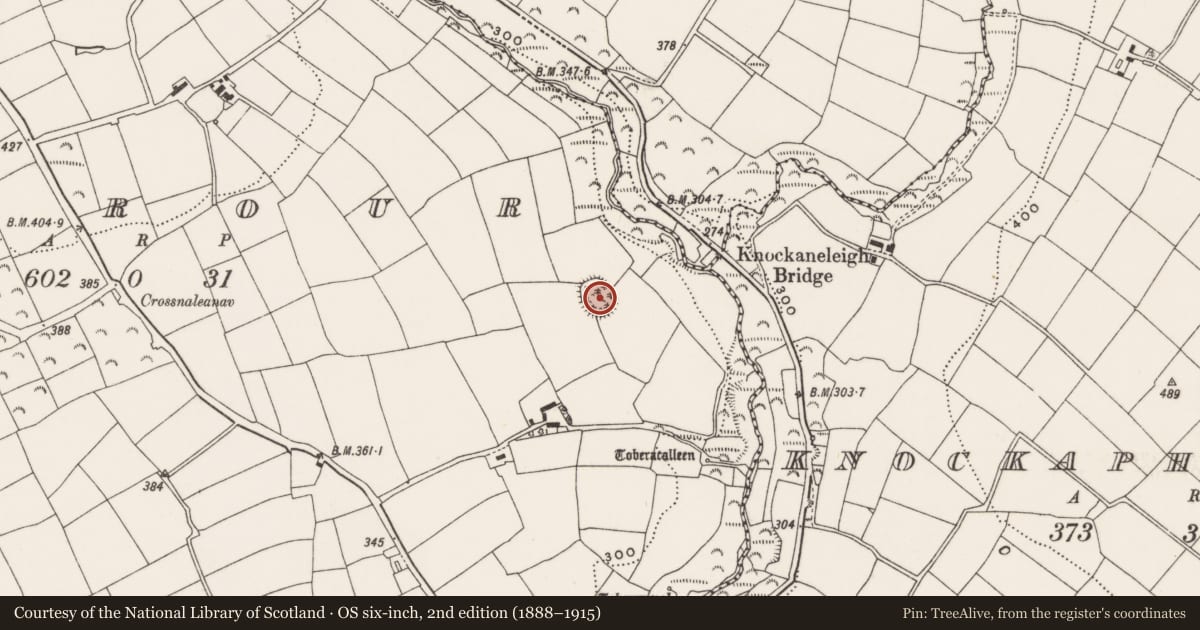 Ordnance Survey six-inch map, 2nd edition (1888–1915) covering the location of Ringfort - rath, Rearour, County Cork, with a pin at the register's coordinates