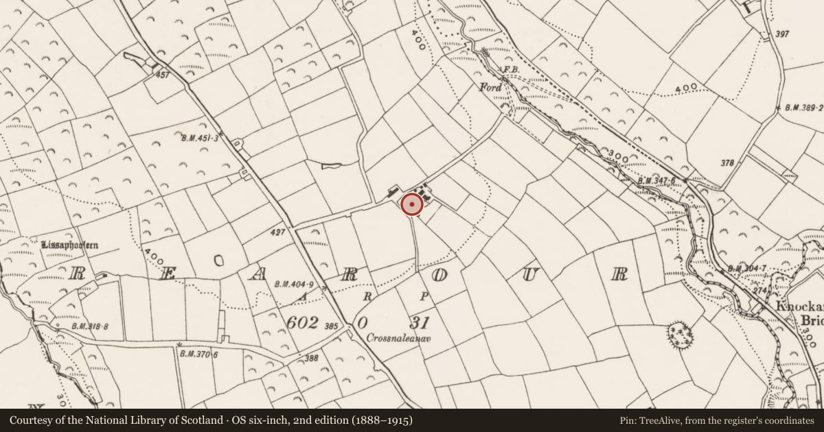 Ordnance Survey six-inch map, 2nd edition (1888–1915) covering the location of Ringfort - rath, Rearour, County Cork, with a pin at the register's coordinates