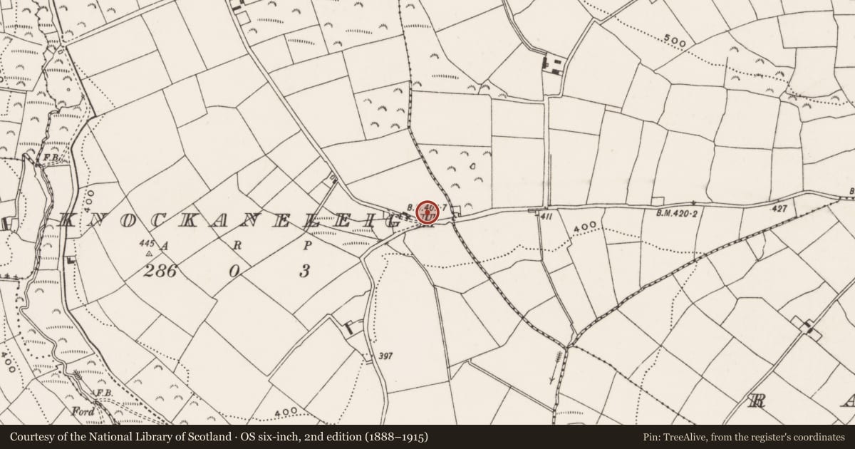 Ordnance Survey six-inch map, 2nd edition (1888–1915) covering the location of Fulacht fia, Knockaneleigh, County Cork, with a pin at the register's coordinates