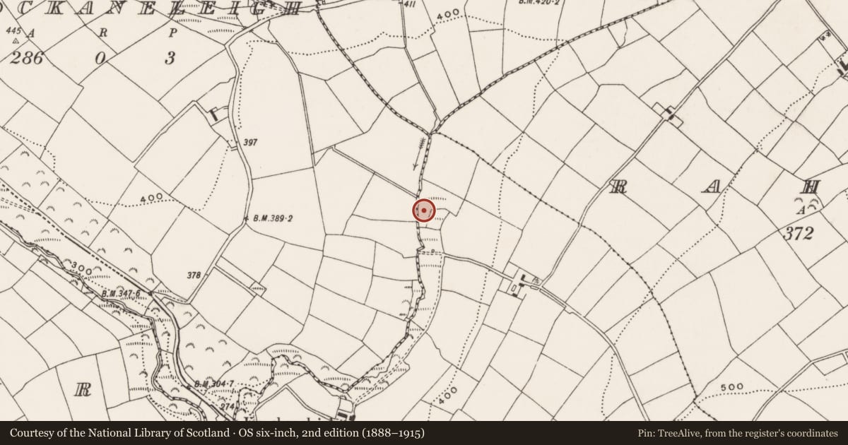 Ordnance Survey six-inch map, 2nd edition (1888–1915) covering the location of Fulacht fia, Knockaphreaghane, County Cork, with a pin at the register's coordinates