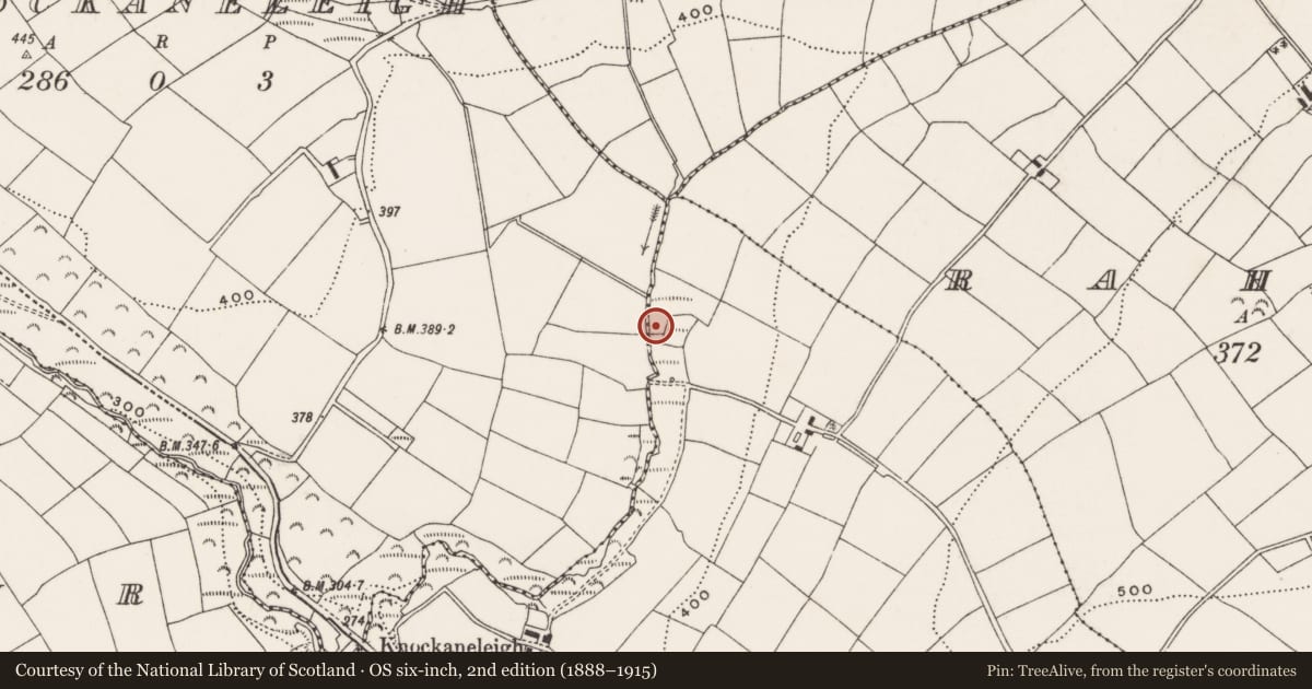 Ordnance Survey six-inch map, 2nd edition (1888–1915) covering the location of Fulacht fia, Knockaphreaghane, County Cork, with a pin at the register's coordinates
