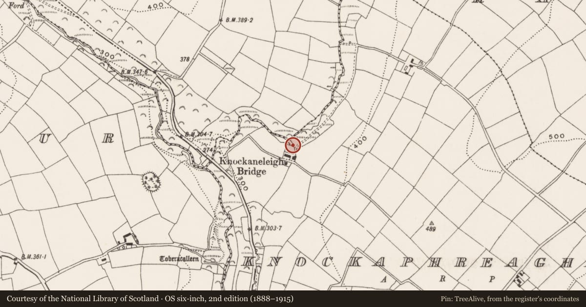 Ordnance Survey six-inch map, 2nd edition (1888–1915) covering the location of Mass-rock (present location), Knockaphreaghane, County Cork, with a pin at the register's coordinates