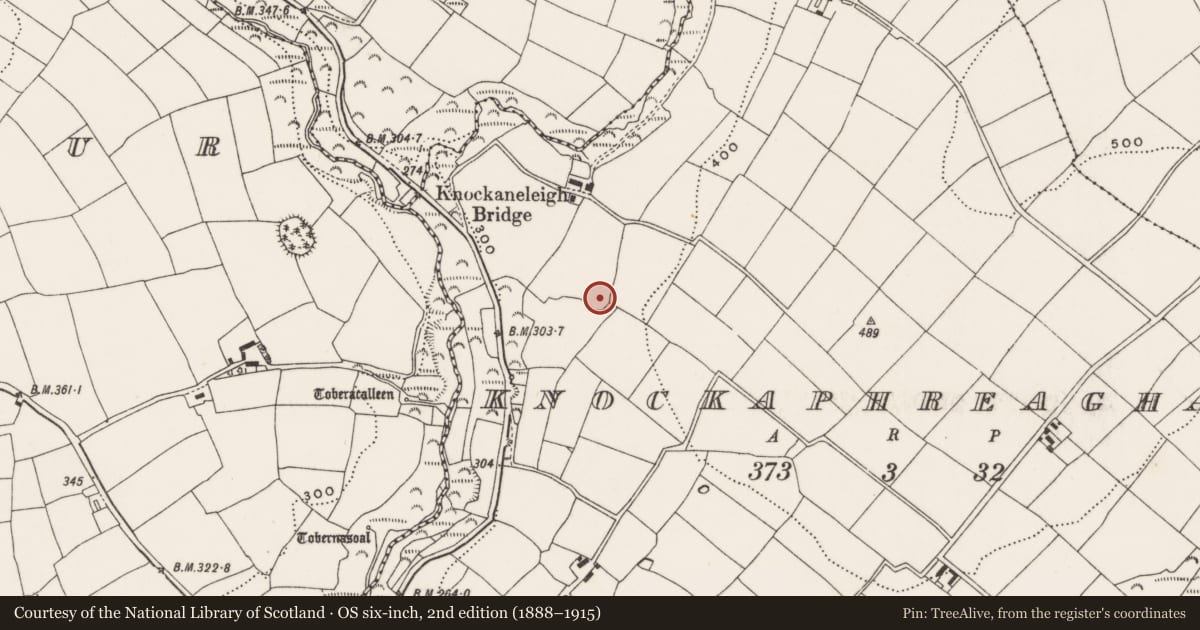 Ordnance Survey six-inch map, 2nd edition (1888–1915) covering the location of Ringfort - rath, Knockaphreaghane, County Cork, with a pin at the register's coordinates