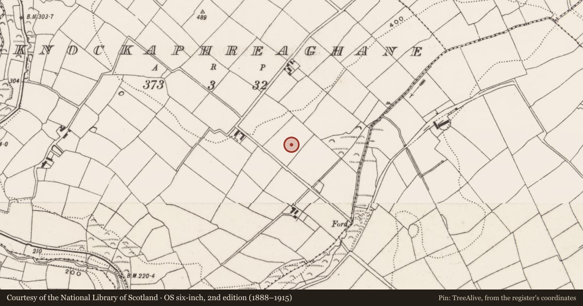 Ordnance Survey six-inch map, 2nd edition (1888–1915) covering the location of Standing stone, Knockaphreaghane, County Cork, with a pin at the register's coordinates
