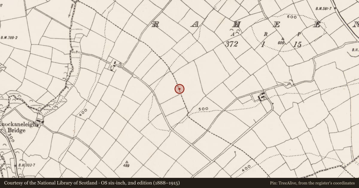 Ordnance Survey six-inch map, 2nd edition (1888–1915) covering the location of Boulder-burial, Knockaphreaghane, Raheen, County Cork, with a pin at the register's coordinates