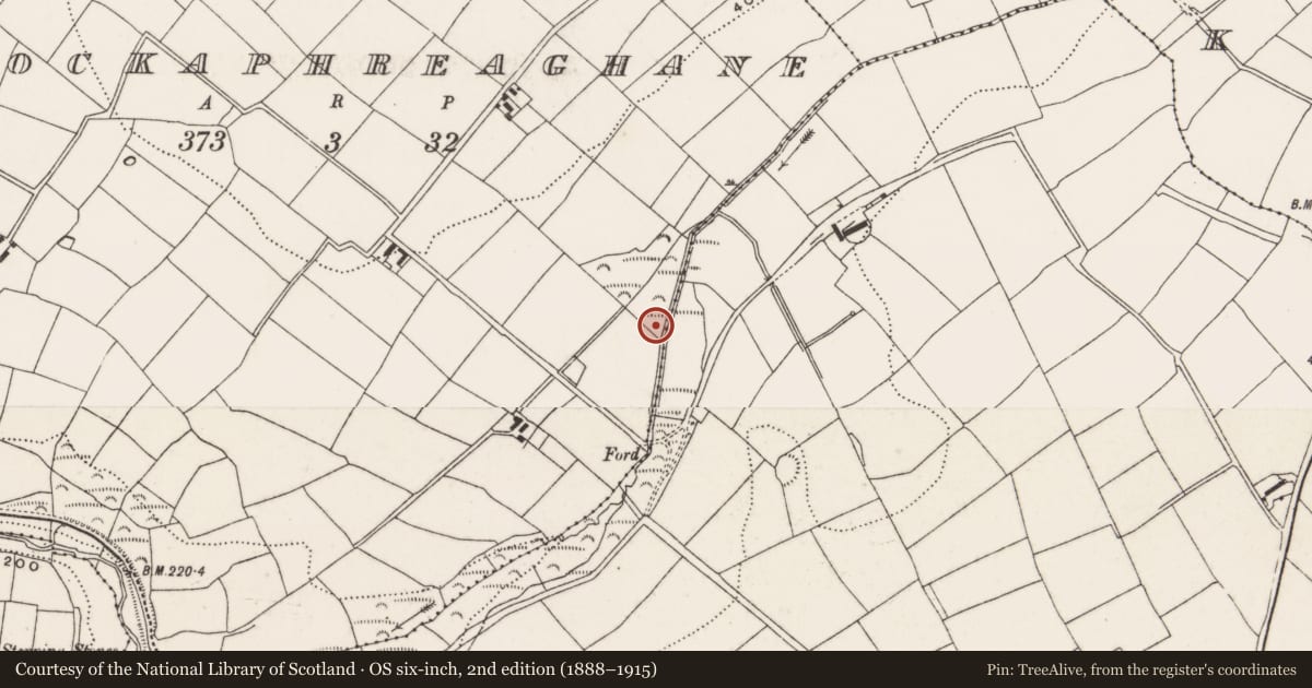 Ordnance Survey six-inch map, 2nd edition (1888–1915) covering the location of Fulacht fia, Knockaphreaghane, County Cork, with a pin at the register's coordinates