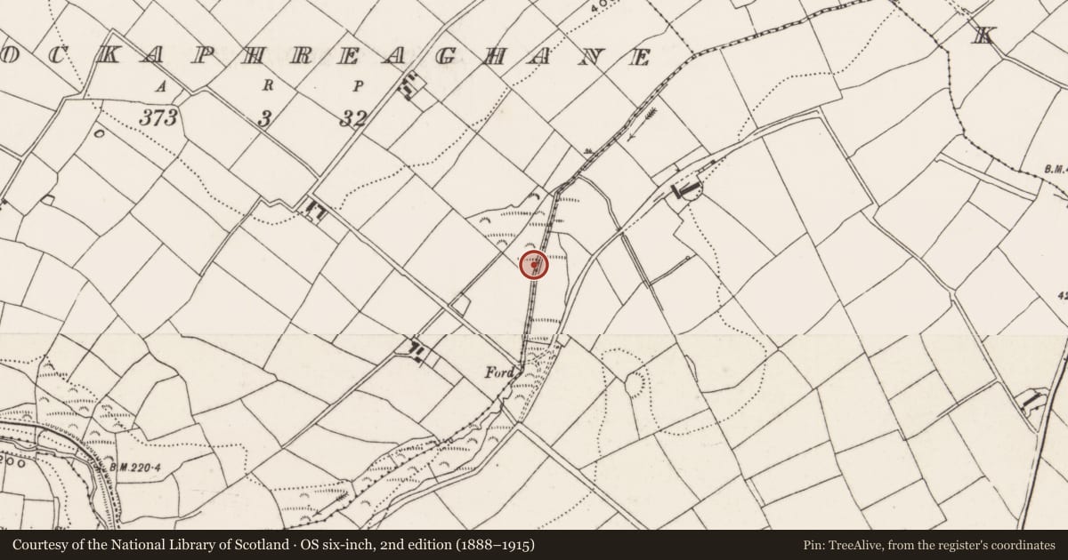 Ordnance Survey six-inch map, 2nd edition (1888–1915) covering the location of Fulacht fia, Knockaphreaghane, County Cork, with a pin at the register's coordinates