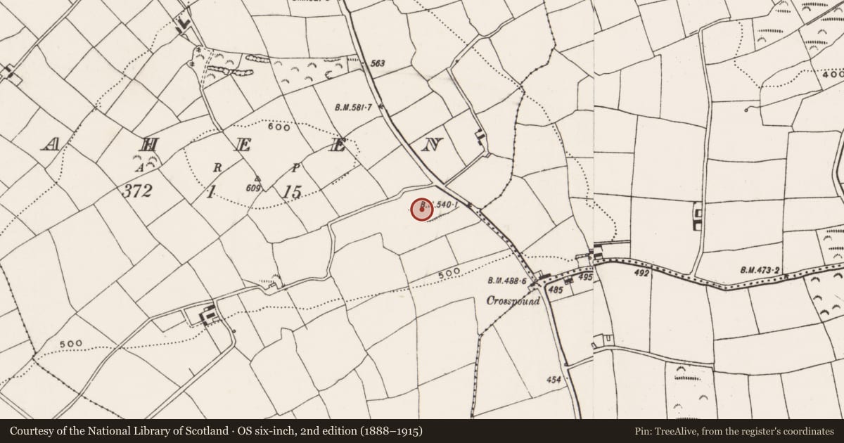 Ordnance Survey six-inch map, 2nd edition (1888–1915) covering the location of Moated site, Raheen, County Cork, with a pin at the register's coordinates