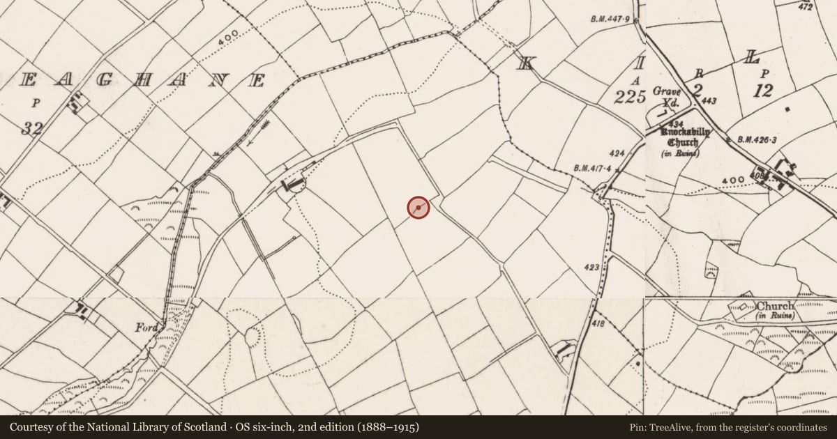 Ordnance Survey six-inch map, 2nd edition (1888–1915) covering the location of Moated site, Russelhill, County Cork, with a pin at the register's coordinates