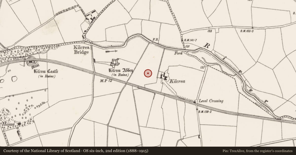 Ordnance Survey six-inch map, 2nd edition (1888–1915) covering the location of Fulacht fia, Kilcrea, County Cork, with a pin at the register's coordinates