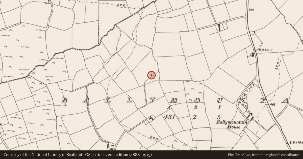 Ordnance Survey six-inch map, 2nd edition (1888–1915) covering the location of Fulacht fia, Ballymountain, County Cork, with a pin at the register's coordinates