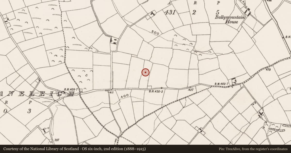 Ordnance Survey six-inch map, 2nd edition (1888–1915) covering the location of Fulacht fia, Ballymountain, County Cork, with a pin at the register's coordinates