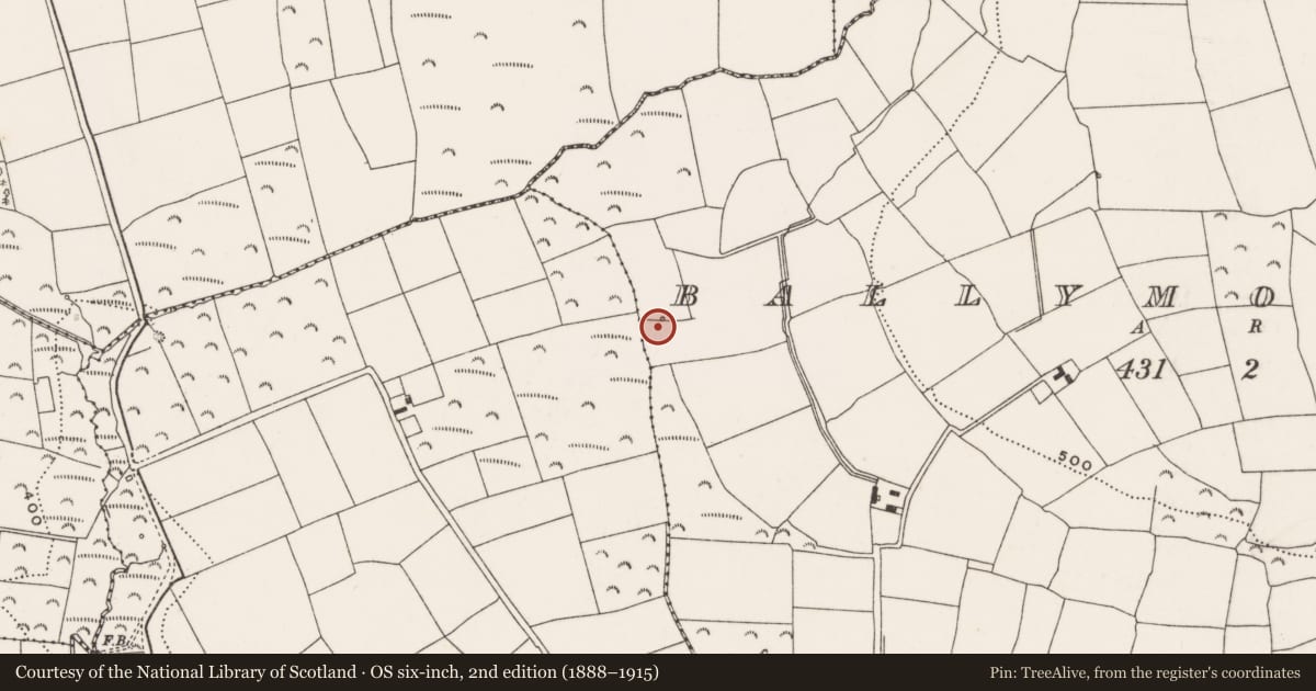 Ordnance Survey six-inch map, 2nd edition (1888–1915) covering the location of Fulacht fia, Ballymountain, County Cork, with a pin at the register's coordinates