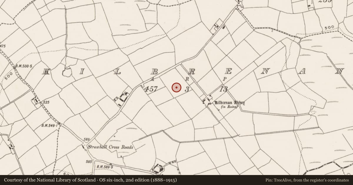 Ordnance Survey six-inch map, 2nd edition (1888–1915) covering the location of Fulacht fia, Kilbrenan, County Cork, with a pin at the register's coordinates
