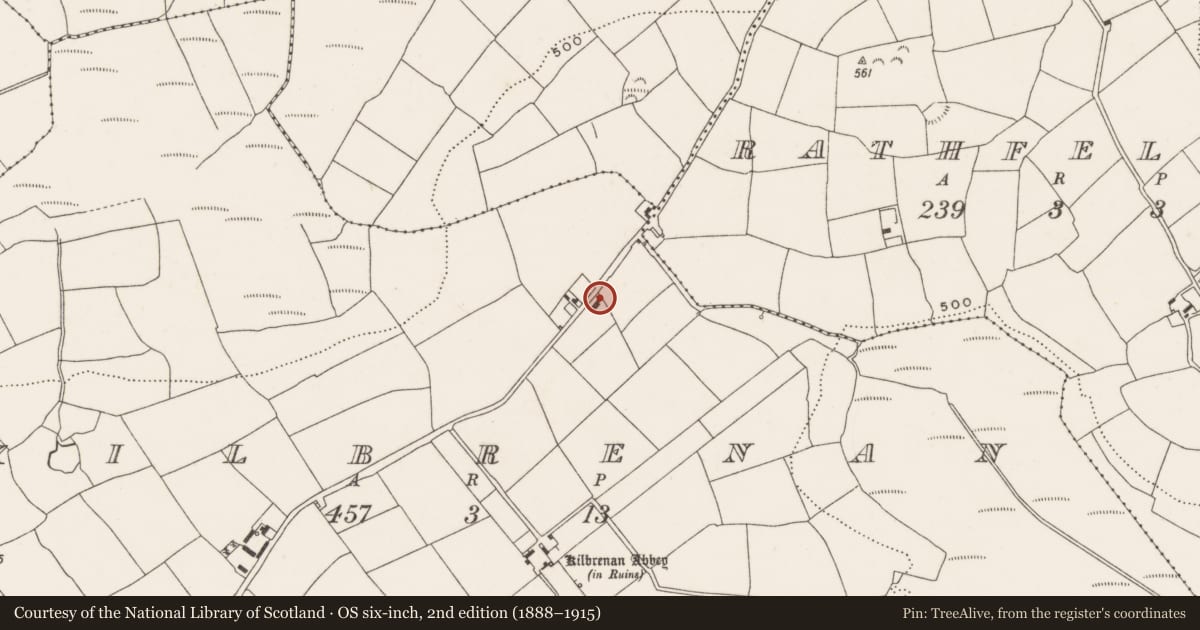 Ordnance Survey six-inch map, 2nd edition (1888–1915) covering the location of Fulacht fia, Kilbrenan, County Cork, with a pin at the register's coordinates