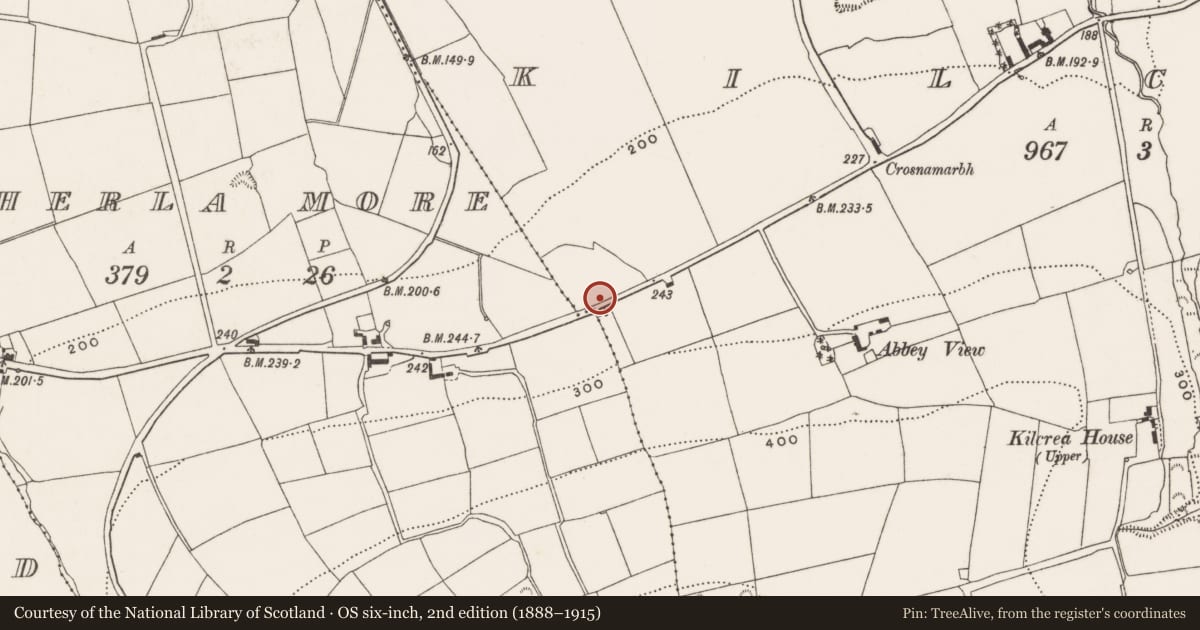 Ordnance Survey six-inch map, 2nd edition (1888–1915) covering the location of Fulacht fia, Kilcrea, County Cork, with a pin at the register's coordinates