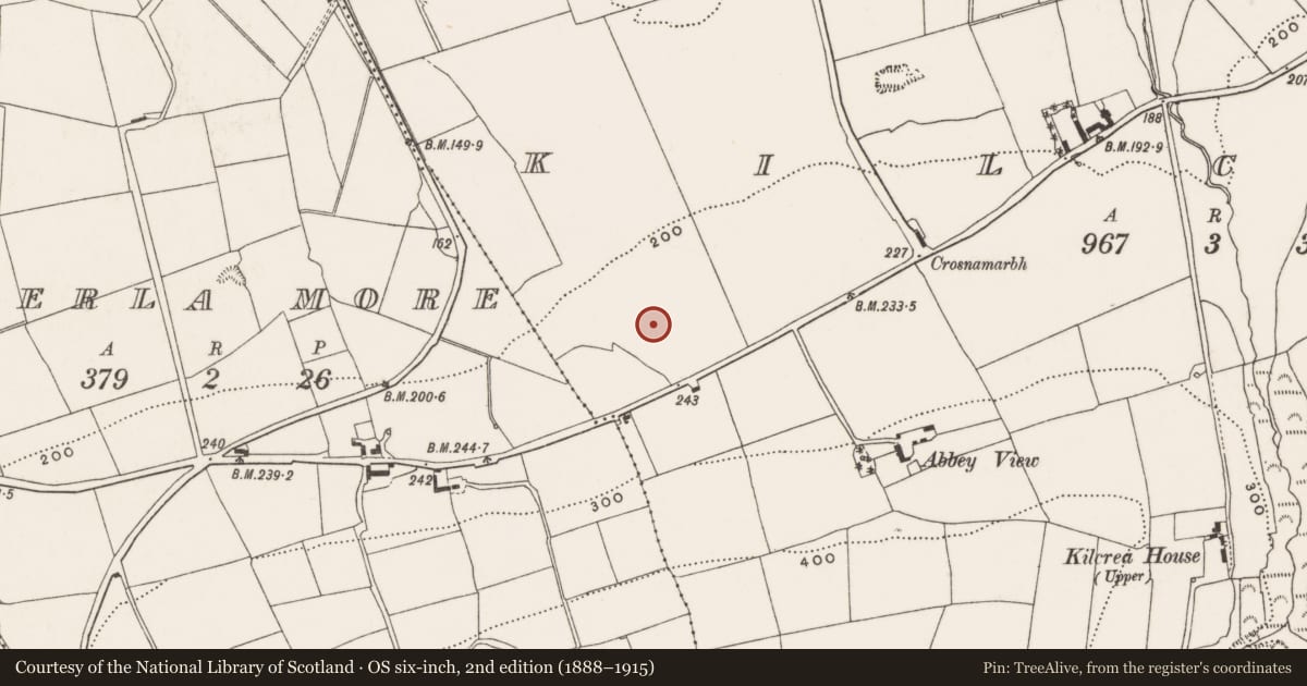 Ordnance Survey six-inch map, 2nd edition (1888–1915) covering the location of Fulacht fia, Kilcrea, County Cork, with a pin at the register's coordinates