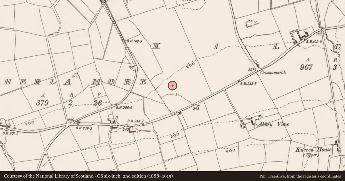 Ordnance Survey six-inch map, 2nd edition (1888–1915) covering the location of Fulacht fia, Kilcrea, County Cork, with a pin at the register's coordinates