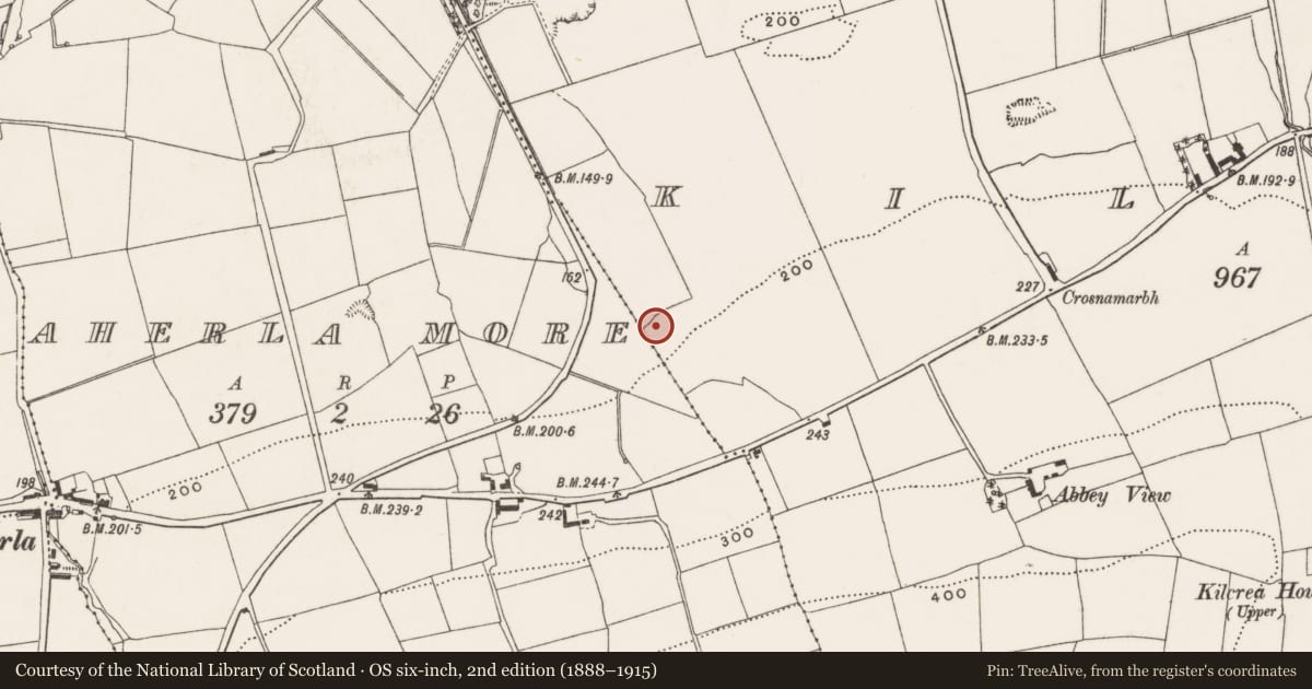 Ordnance Survey six-inch map, 2nd edition (1888–1915) covering the location of Fulacht fia, Kilcrea, County Cork, with a pin at the register's coordinates