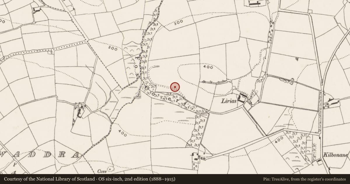 Ordnance Survey six-inch map, 2nd edition (1888–1915) covering the location of Burial ground, Rathard, County Cork, with a pin at the register's coordinates