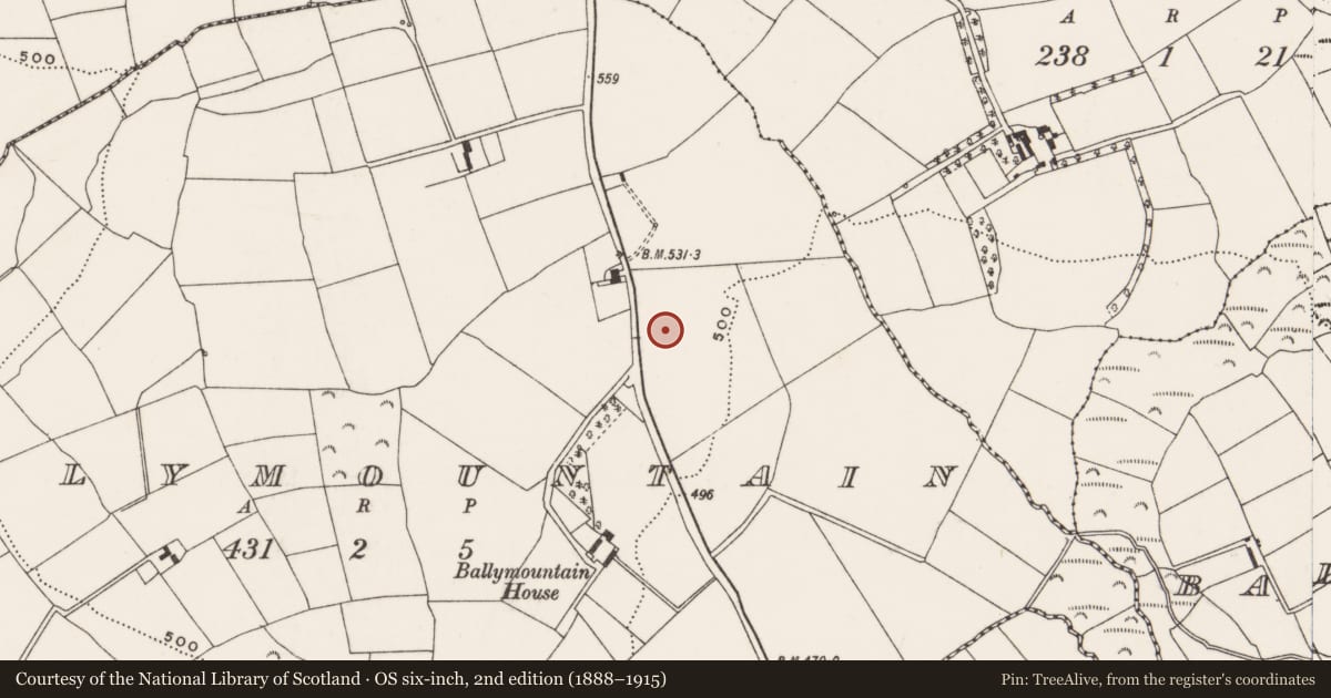 Ordnance Survey six-inch map, 2nd edition (1888–1915) covering the location of Burnt spread, Ballymountain, County Cork, with a pin at the register's coordinates