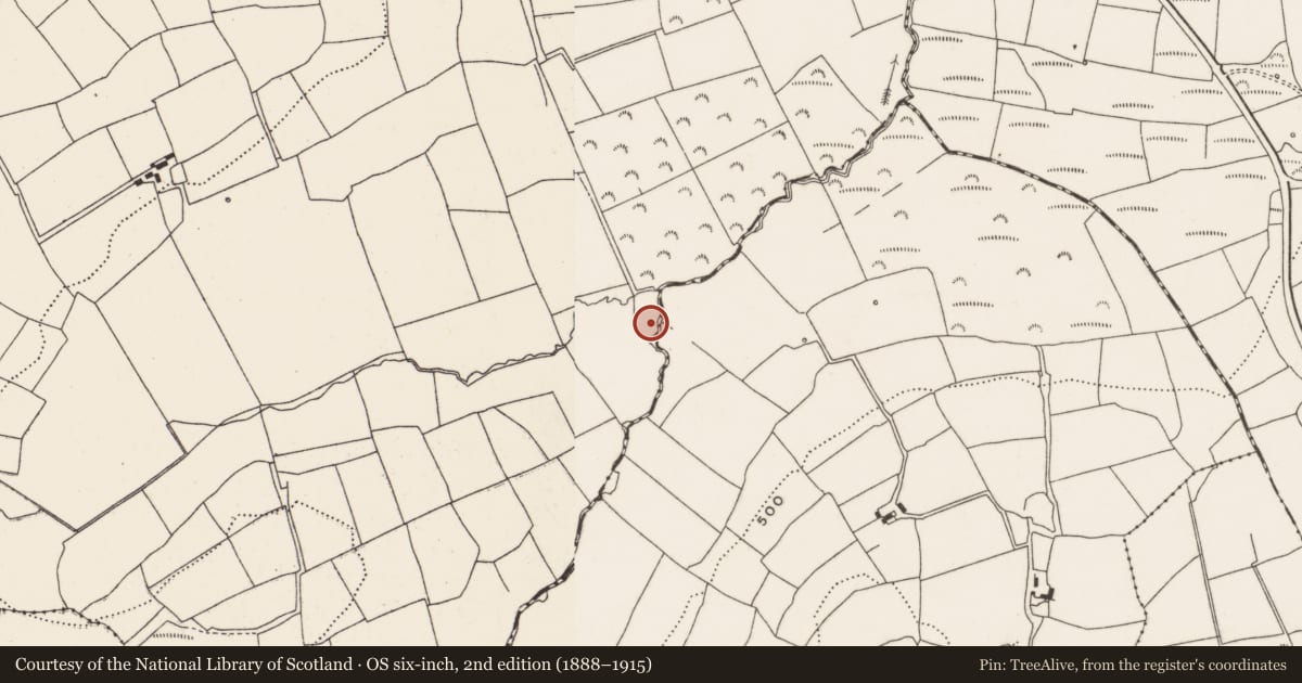 Ordnance Survey six-inch map, 2nd edition (1888–1915) covering the location of Burial ground, Bellmount Upper, County Cork, with a pin at the register's coordinates