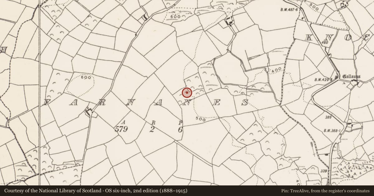 Ordnance Survey six-inch map, 2nd edition (1888–1915) covering the location of Burnt mound, Farnanes, County Cork, with a pin at the register's coordinates