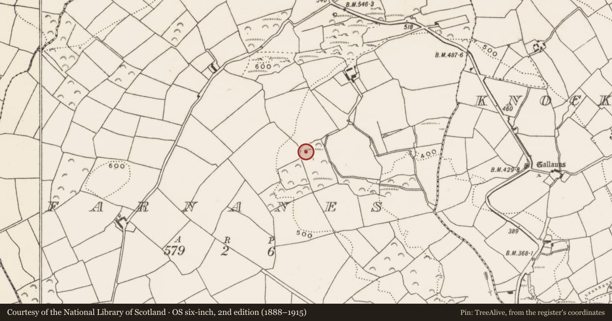 Ordnance Survey six-inch map, 2nd edition (1888–1915) covering the location of Burnt mound, Farnanes, County Cork, with a pin at the register's coordinates