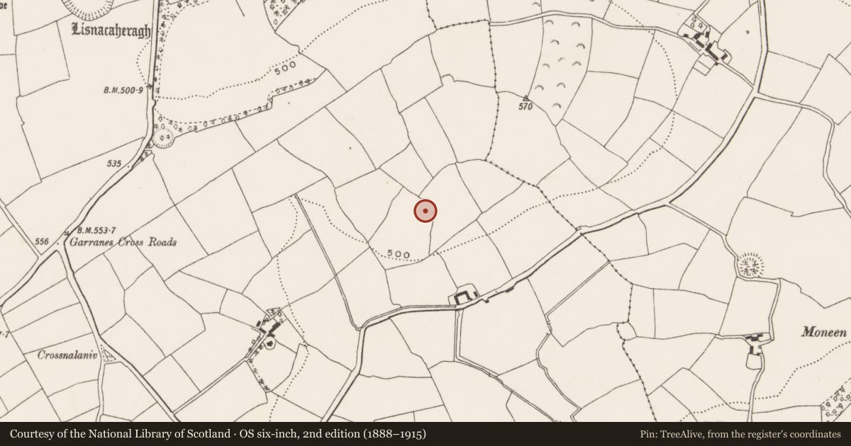 Ordnance Survey six-inch map, 2nd edition (1888–1915) covering the location of Ringfort - rath, Garranes, County Cork, with a pin at the register's coordinates