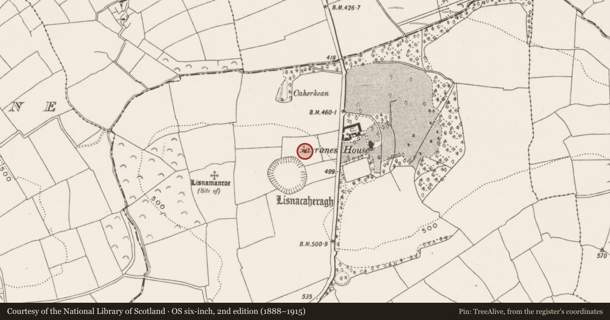 Ordnance Survey six-inch map, 2nd edition (1888–1915) covering the location of Ring-ditch, Garranes, County Cork, with a pin at the register's coordinates