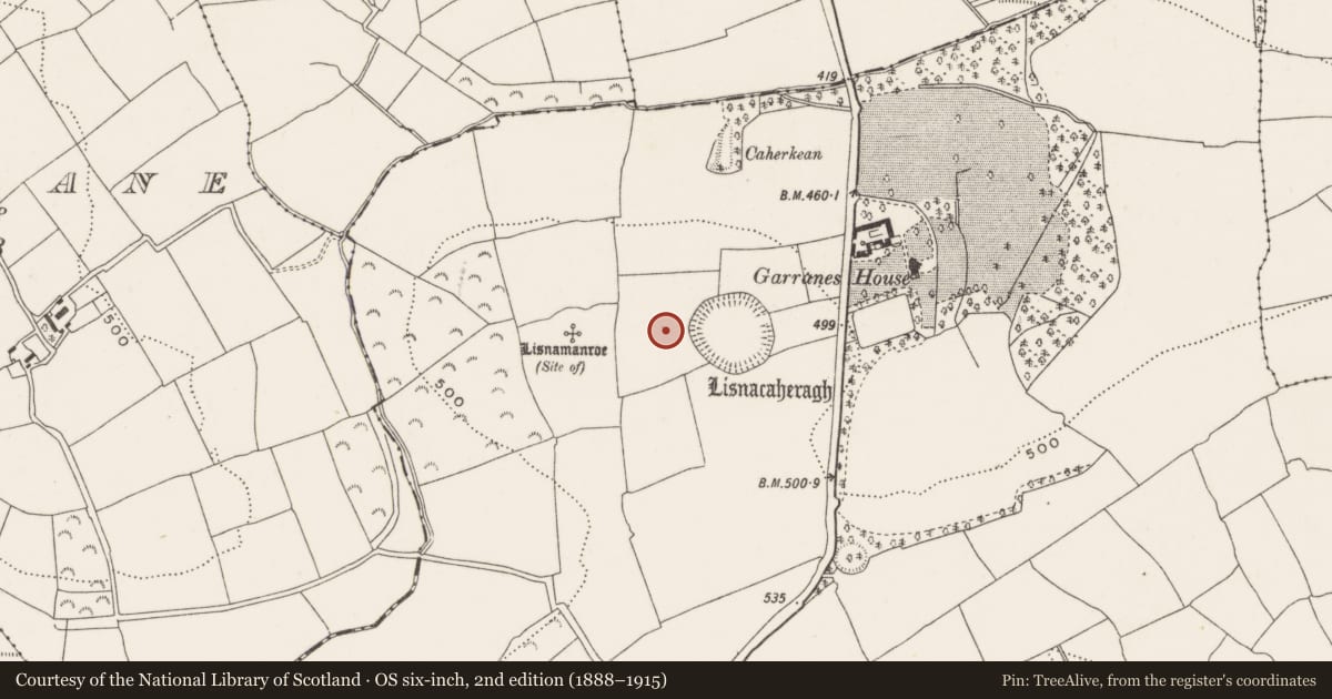 Ordnance Survey six-inch map, 2nd edition (1888–1915) covering the location of Structure, Garranes, County Cork, with a pin at the register's coordinates