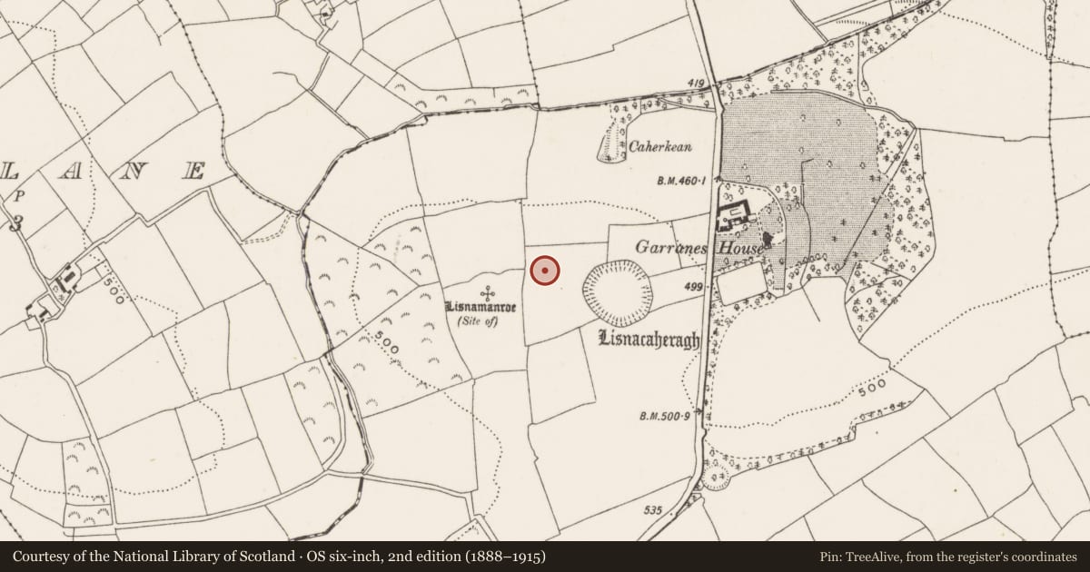 Ordnance Survey six-inch map, 2nd edition (1888–1915) covering the location of Hut site, Garranes, County Cork, with a pin at the register's coordinates