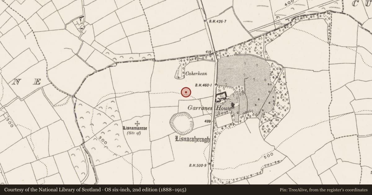 Ordnance Survey six-inch map, 2nd edition (1888–1915) covering the location of Linear earthwork, Garranes, County Cork, with a pin at the register's coordinates