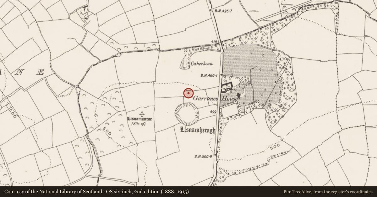Ordnance Survey six-inch map, 2nd edition (1888–1915) covering the location of Metalworking site, Garranes, County Cork, with a pin at the register's coordinates