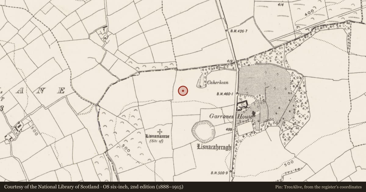 Ordnance Survey six-inch map, 2nd edition (1888–1915) covering the location of Ring-ditch, Garranes, County Cork, with a pin at the register's coordinates