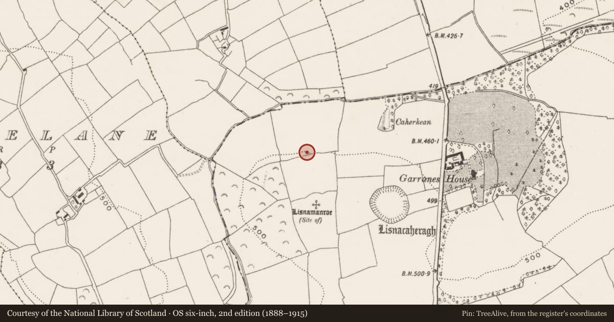 Ordnance Survey six-inch map, 2nd edition (1888–1915) covering the location of Ring-ditch, Garranes, County Cork, with a pin at the register's coordinates
