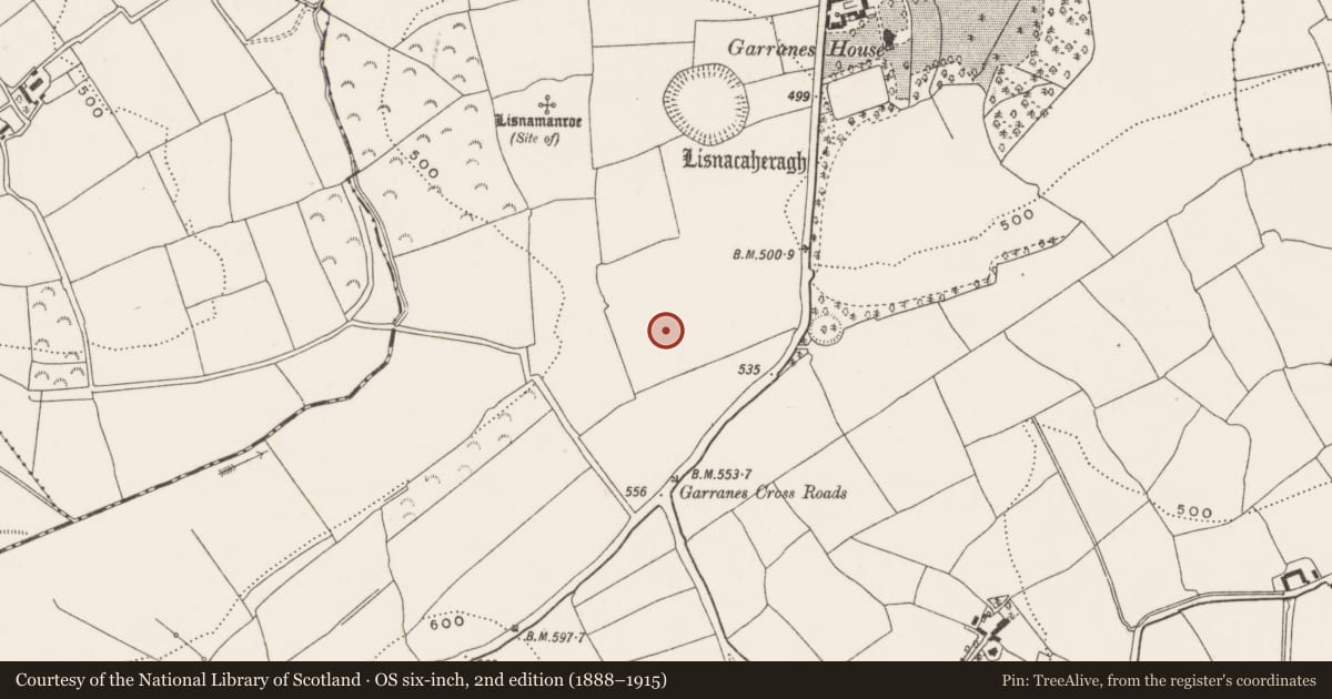 Ordnance Survey six-inch map, 2nd edition (1888–1915) covering the location of Field system, Garranes, County Cork, with a pin at the register's coordinates