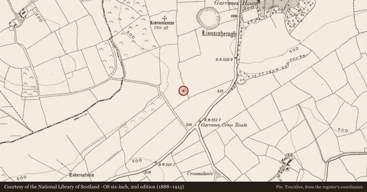 Ordnance Survey six-inch map, 2nd edition (1888–1915) covering the location of Ring-ditch, Garranes, County Cork, with a pin at the register's coordinates