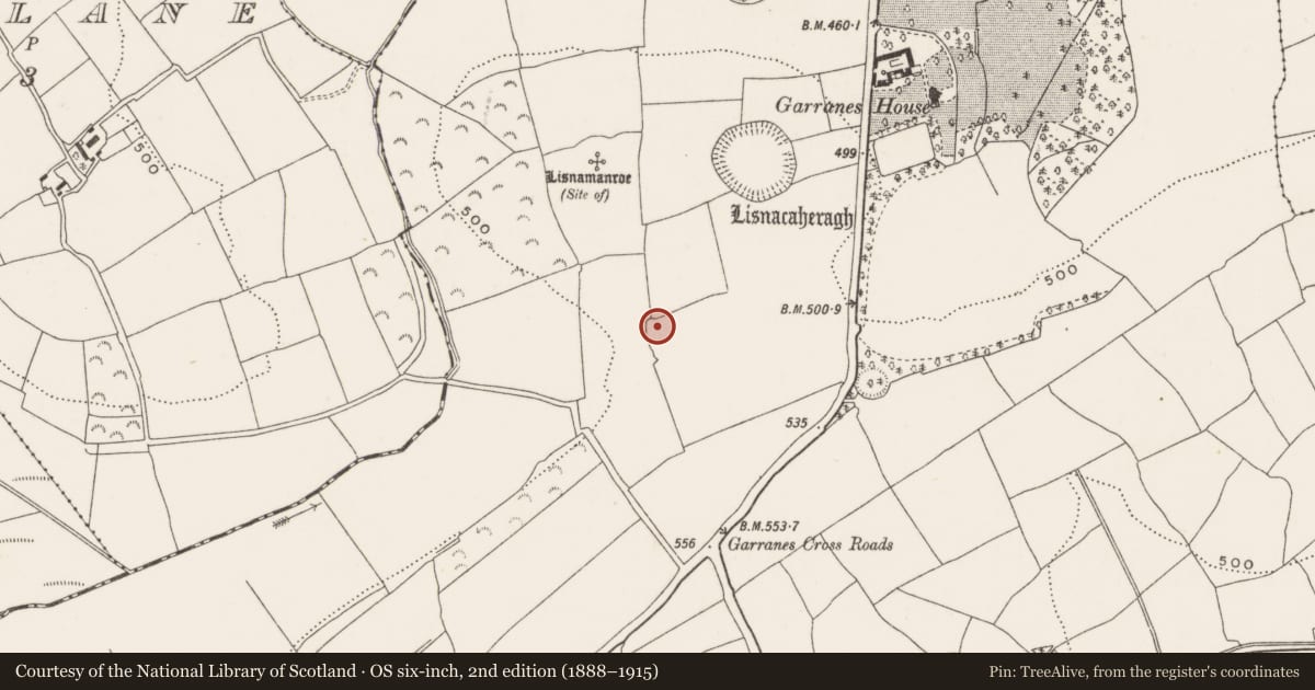 Ordnance Survey six-inch map, 2nd edition (1888–1915) covering the location of Fulacht fia, Garranes, County Cork, with a pin at the register's coordinates