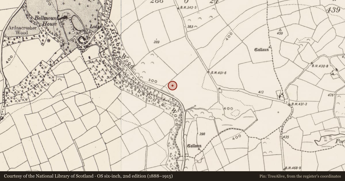 Ordnance Survey six-inch map, 2nd edition (1888–1915) covering the location of Burnt mound, Garranenamuddagh, County Cork, with a pin at the register's coordinates