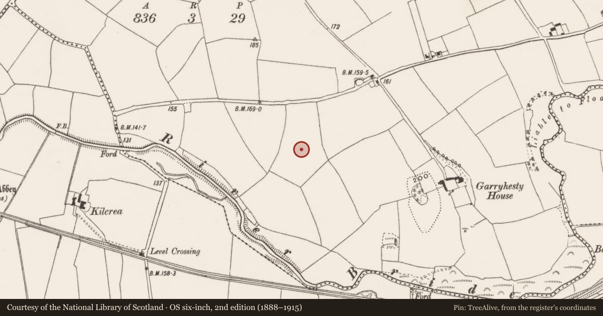 Ordnance Survey six-inch map, 2nd edition (1888–1915) covering the location of Burnt mound, Garryhesty, County Cork, with a pin at the register's coordinates