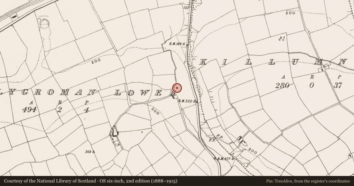 Ordnance Survey six-inch map, 2nd edition (1888–1915) covering the location of Ringfort - rath, Ballygroman Lower, County Cork, with a pin at the register's coordinates