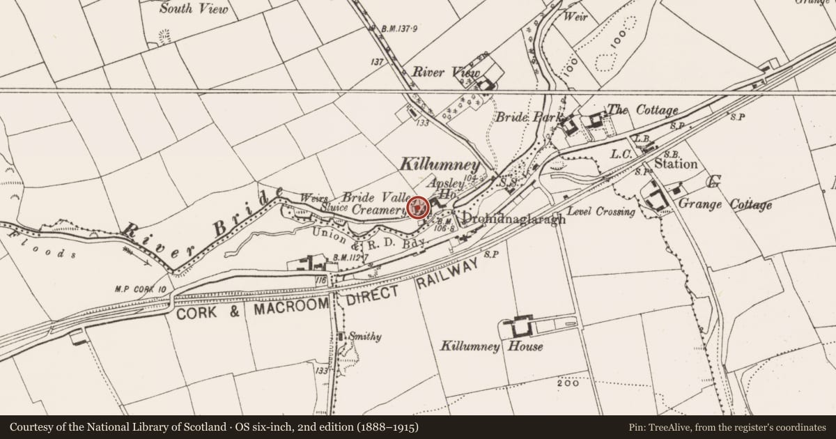 Ordnance Survey six-inch map, 2nd edition (1888–1915) covering the location of Mill - corn, Knockanemore, County Cork, with a pin at the register's coordinates
