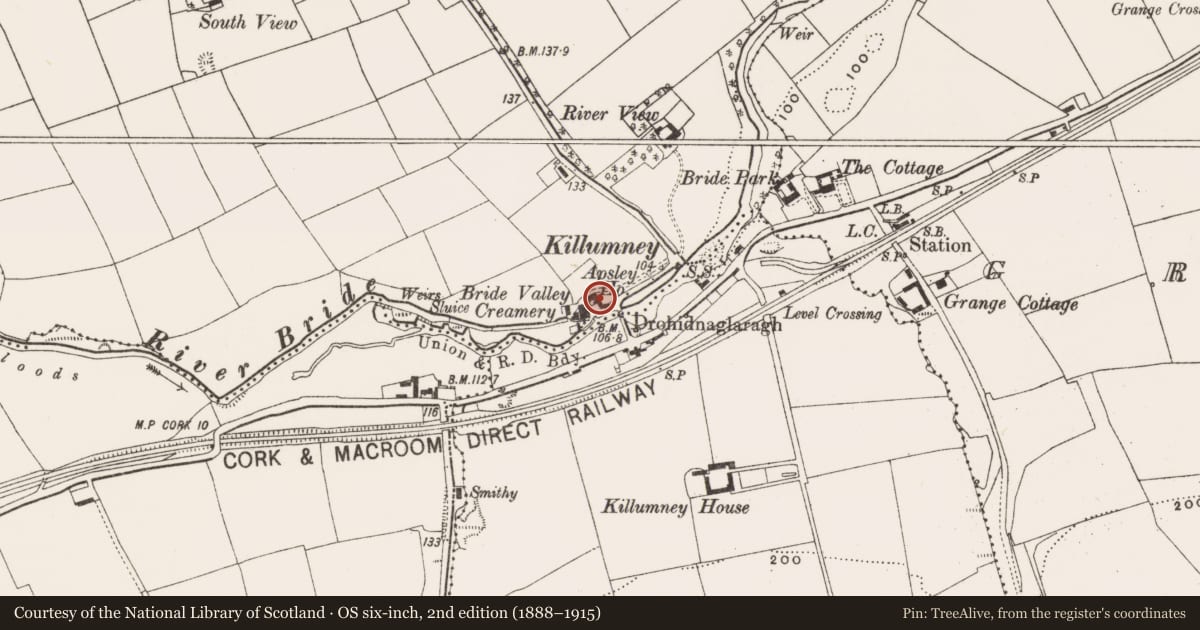 Ordnance Survey six-inch map, 2nd edition (1888–1915) covering the location of Country house, Knockanemore, County Cork, with a pin at the register's coordinates