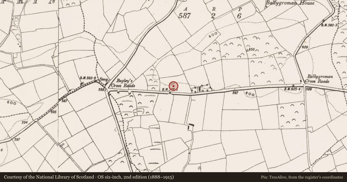 Ordnance Survey six-inch map, 2nd edition (1888–1915) covering the location of Quarry, Ballygroman Upper, County Cork, with a pin at the register's coordinates