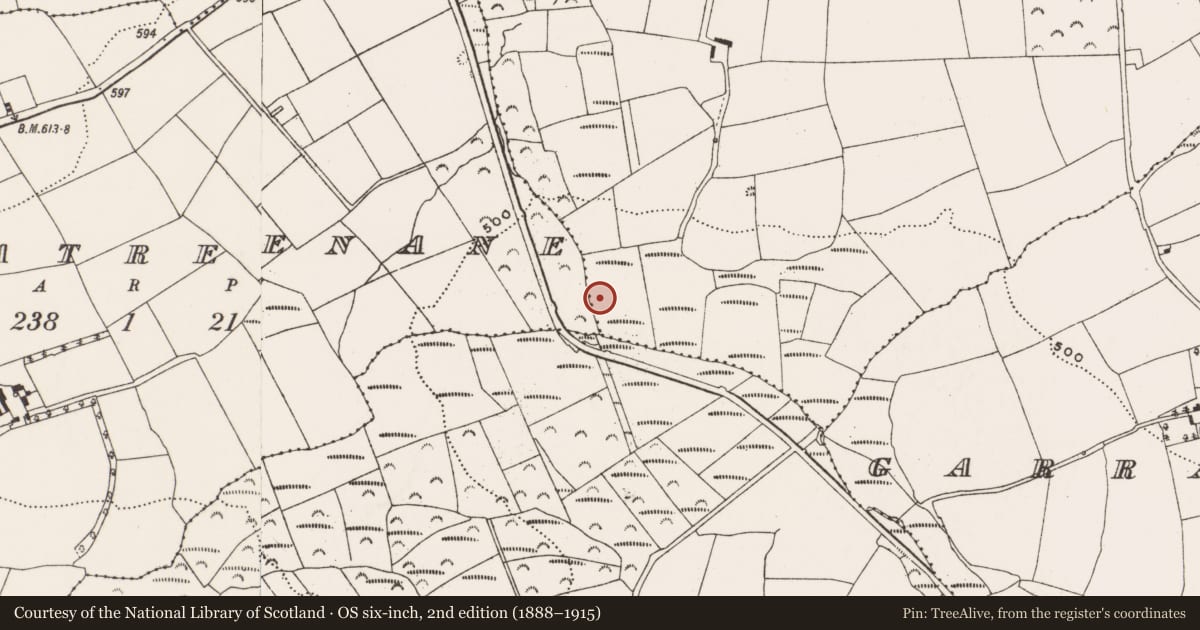 Ordnance Survey six-inch map, 2nd edition (1888–1915) covering the location of Fulacht fia, Ballygroman Upper, County Cork, with a pin at the register's coordinates