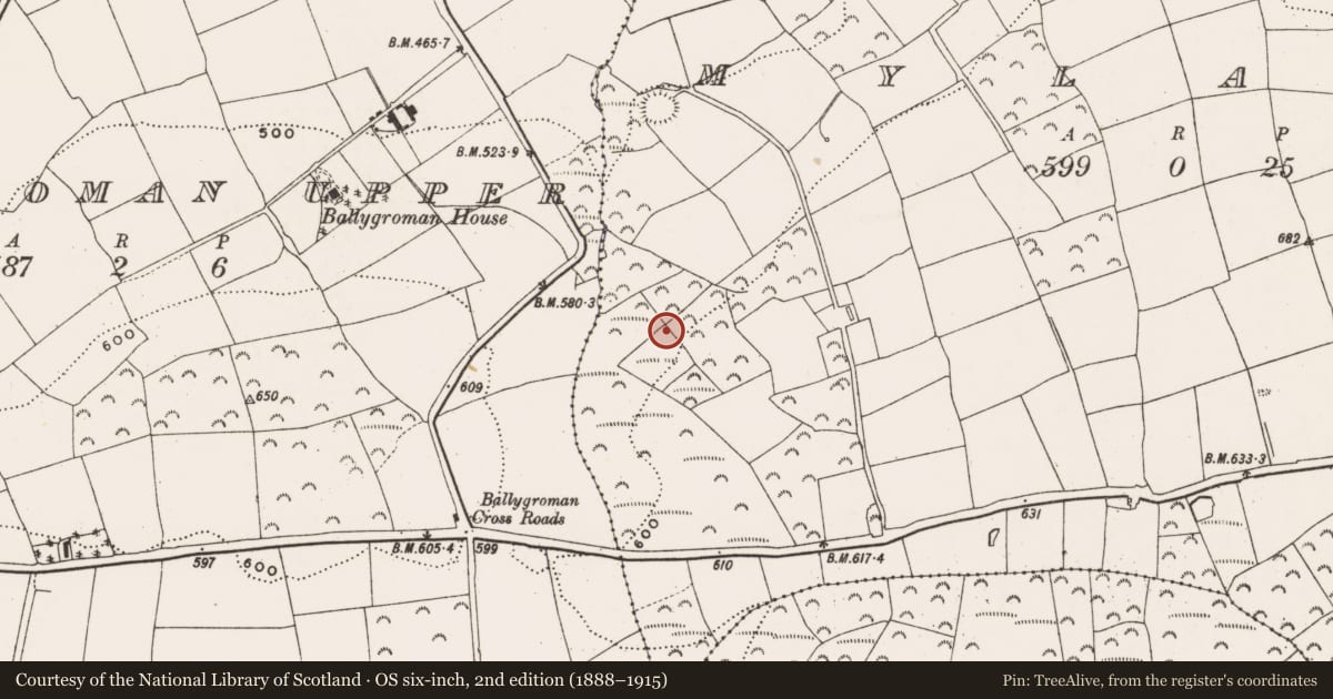 Ordnance Survey six-inch map, 2nd edition (1888–1915) covering the location of Fulacht fia, Mylane, County Cork, with a pin at the register's coordinates