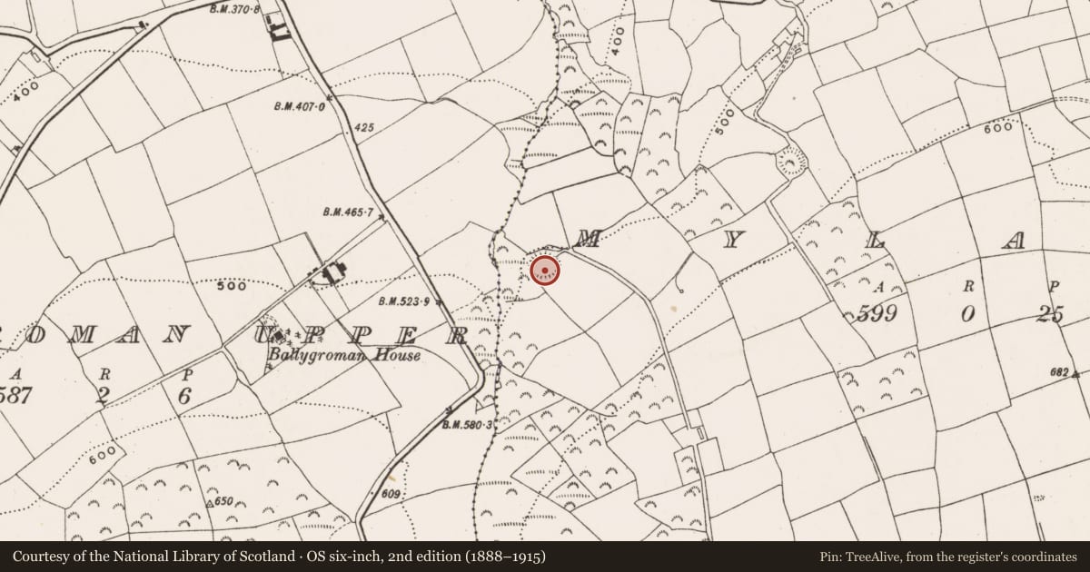 Ordnance Survey six-inch map, 2nd edition (1888–1915) covering the location of Ringfort - rath, Mylane, County Cork, with a pin at the register's coordinates